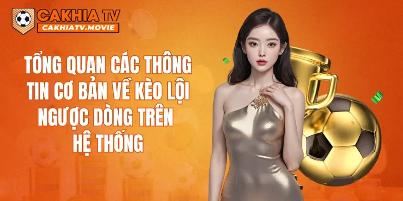 Tổng quan các thông tin cơ bản về kèo lội ngược dòng trên hệ thống