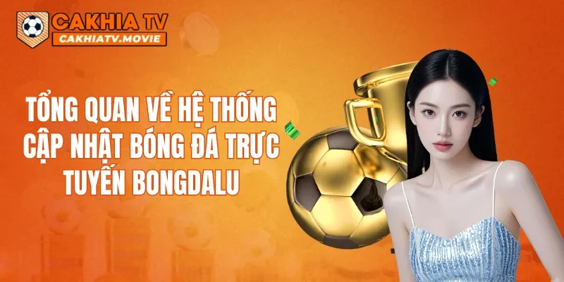 Tổng quan về hệ thống cập nhật bóng đá trực tuyến Bongdalu